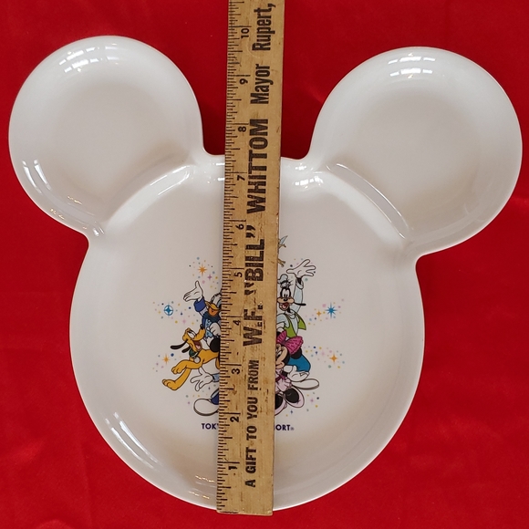 25 Tokyo Disney Resort Kids or Display Plate. - Picture 8 of 8